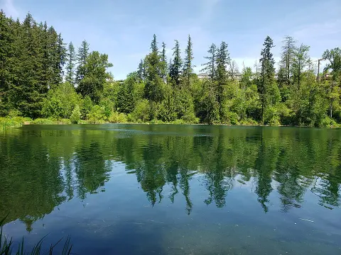 Maple Valley, WA