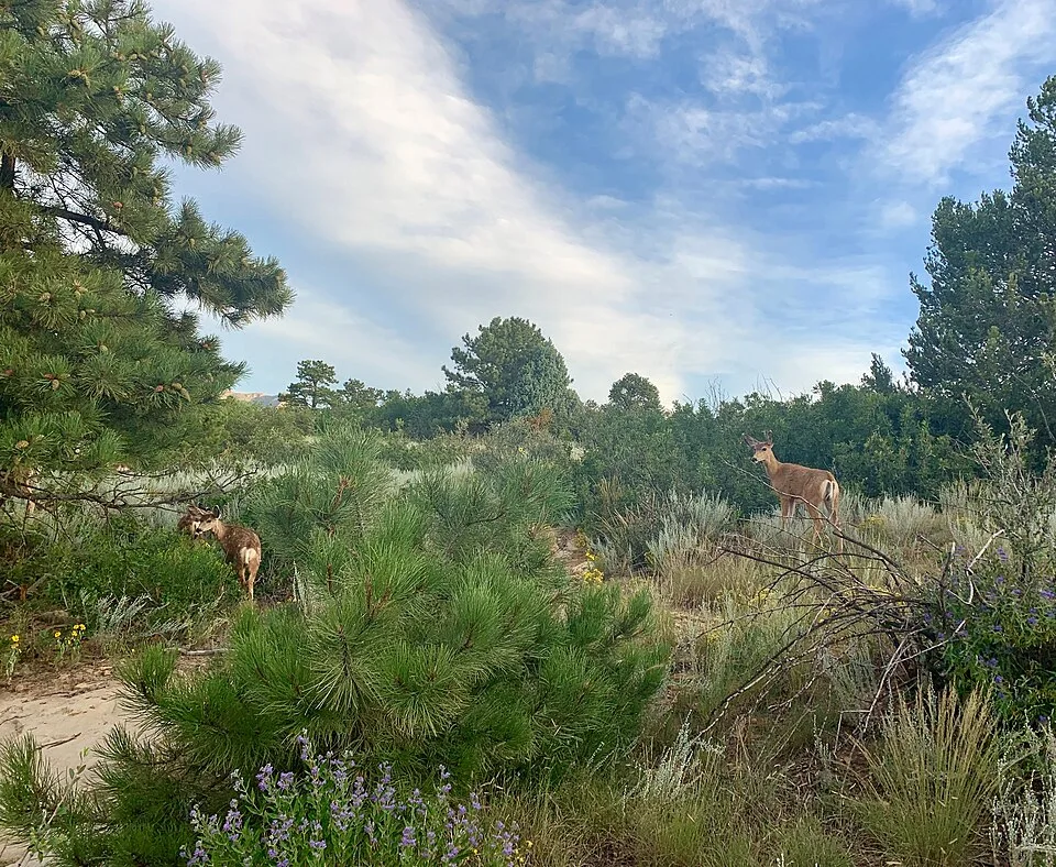 Ute Valley Park, Colorado Springs